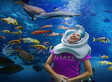 آکواریوم دبی ( dubai Aquarium )